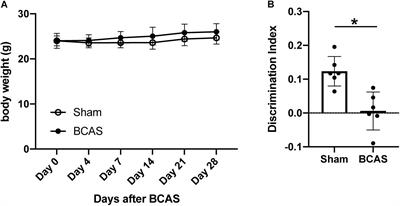 Transcriptome Profiling of Mouse Corpus Callosum After Cerebral Hypoperfusion